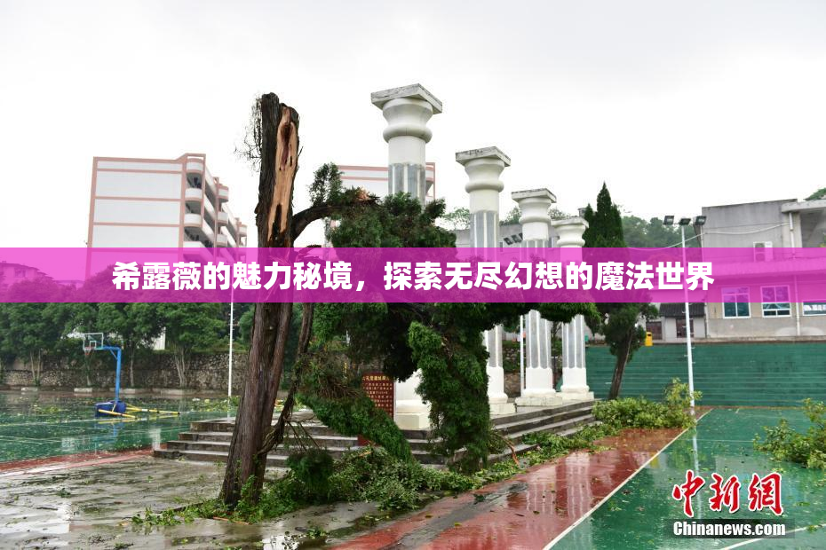 希露薇的魅力秘境，探索无尽幻想的魔法世界