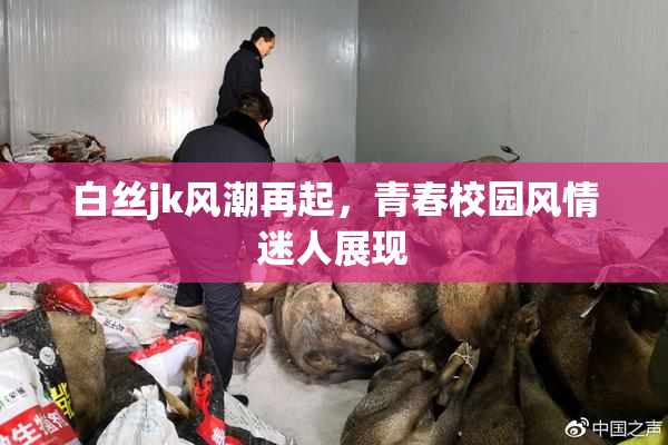 白丝jk风潮再起，青春校园风情迷人展现
