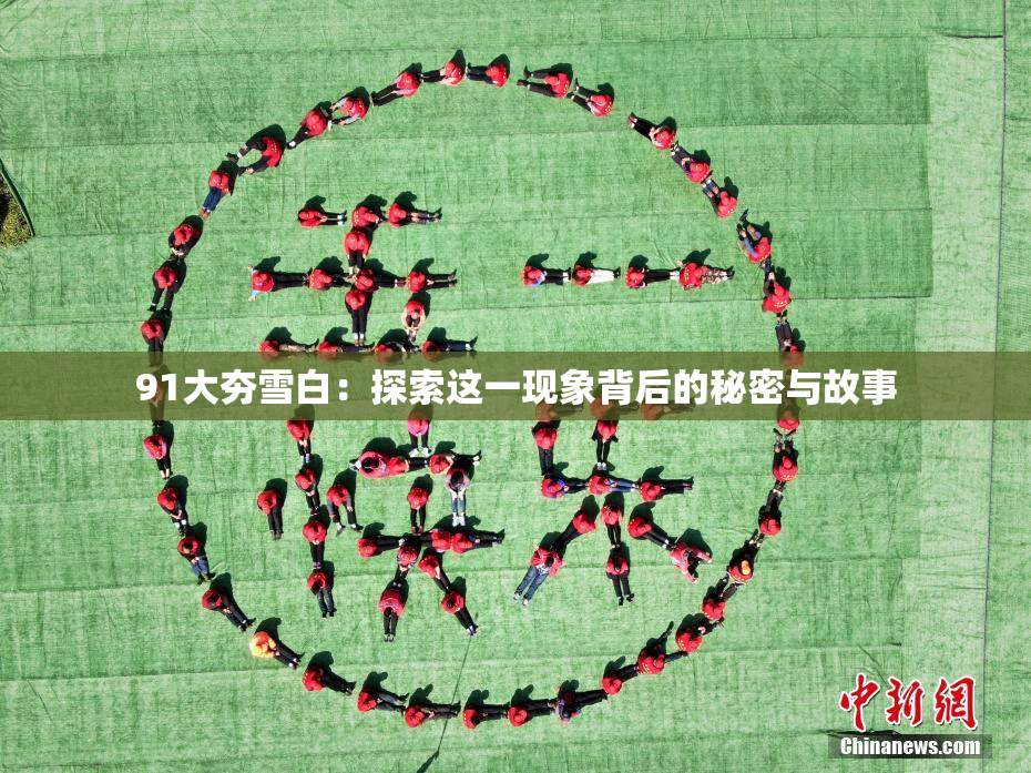 91大夯雪白：探索这一现象背后的秘密与故事