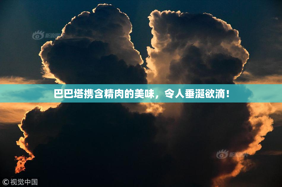 巴巴塔携含精肉的美味，令人垂涎欲滴！