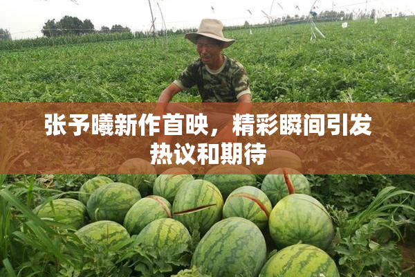张予曦新作首映，精彩瞬间引发热议和期待