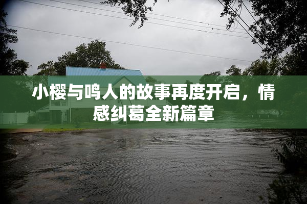 小樱与鸣人的故事再度开启，情感纠葛全新篇章
