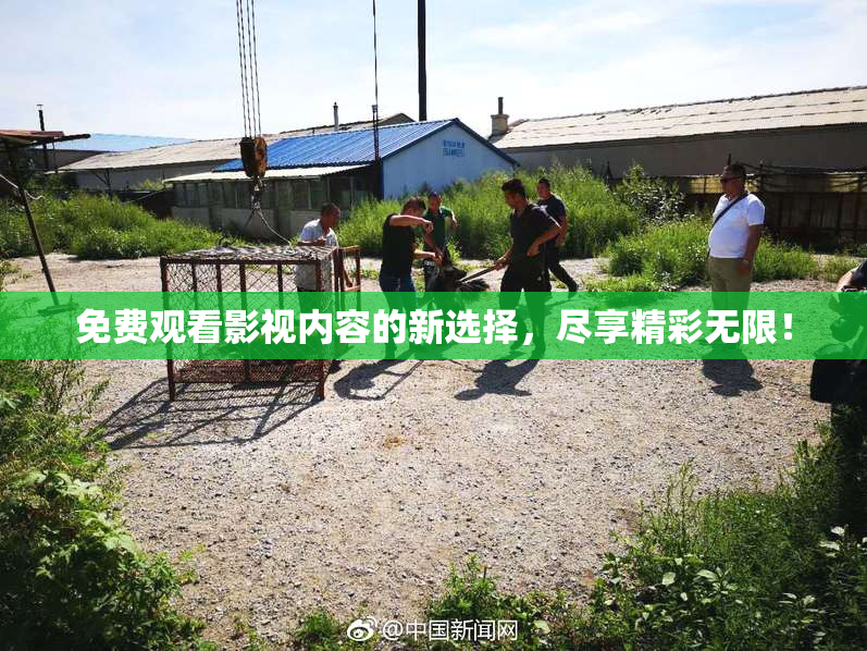 免费观看影视内容的新选择，尽享精彩无限！