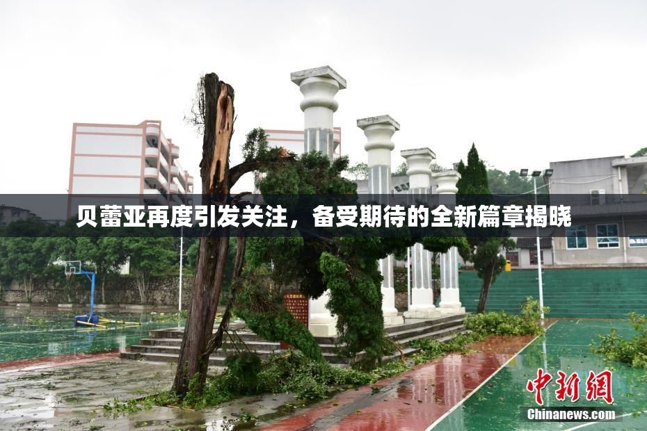 贝蕾亚再度引发关注，备受期待的全新篇章揭晓
