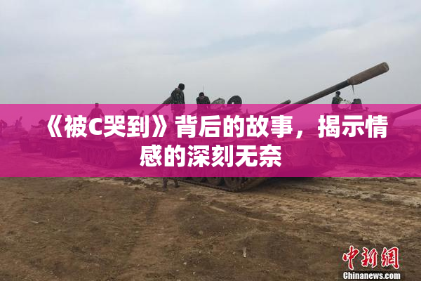 《被C哭到》背后的故事，揭示情感的深刻无奈