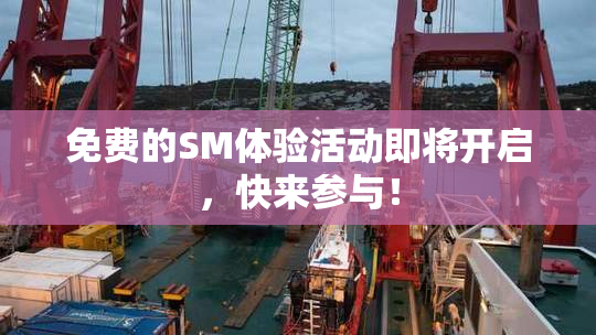 免费的SM体验活动即将开启，快来参与！