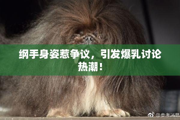 纲手身姿惹争议，引发爆乳讨论热潮！