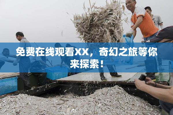 免费在线观看XX，奇幻之旅等你来探索！