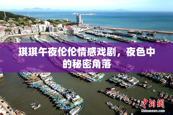 琪琪午夜伦伦情感戏剧，夜色中的秘密角落