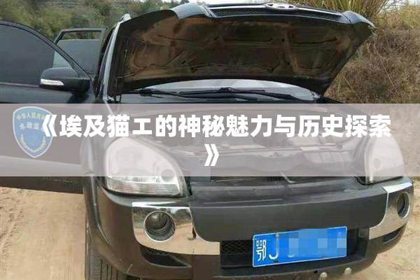 《埃及猫エ的神秘魅力与历史探索》
