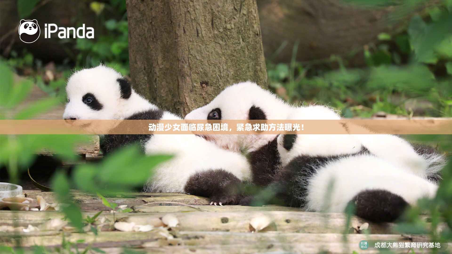 动漫少女面临尿急困境，紧急求助方法曝光！
