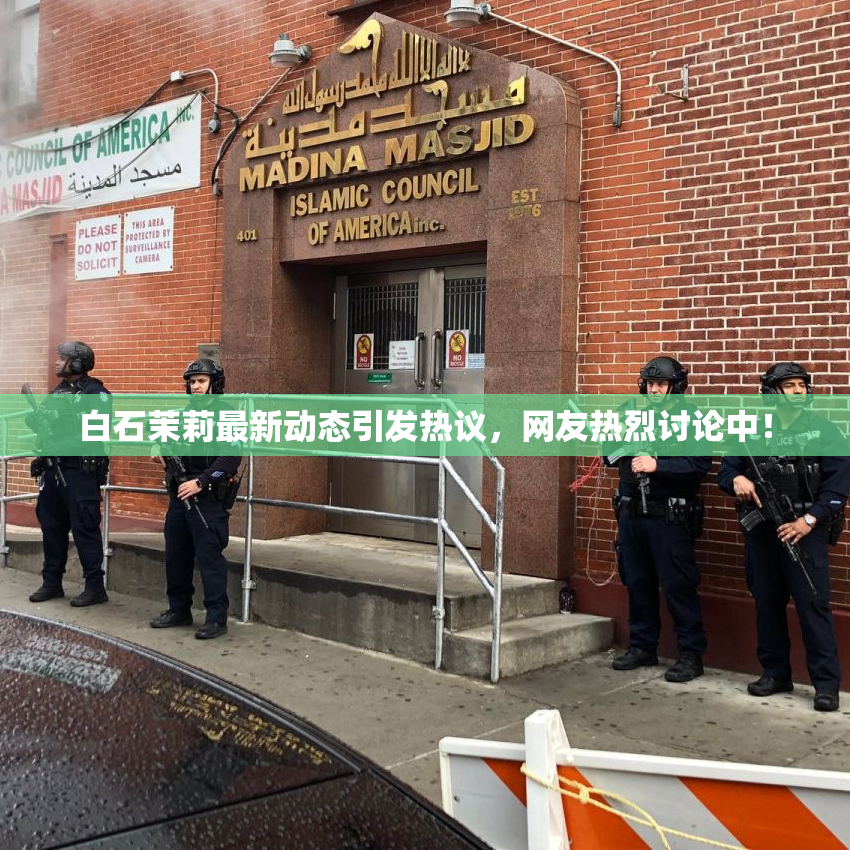 白石茉莉最新动态引发热议，网友热烈讨论中！