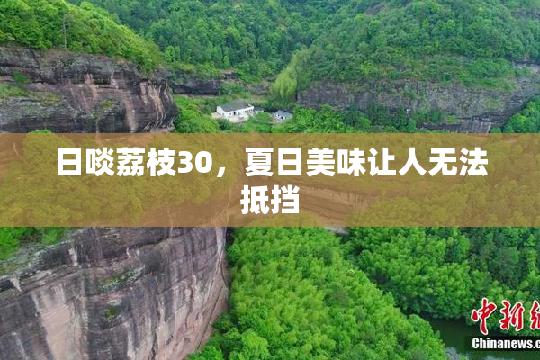日啖荔枝30，夏日美味让人无法抵挡