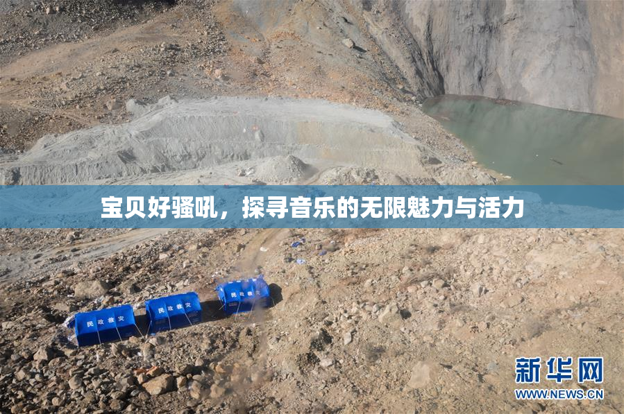 宝贝好骚吼，探寻音乐的无限魅力与活力