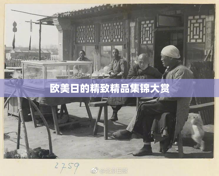 欧美日的精致精品集锦大赏