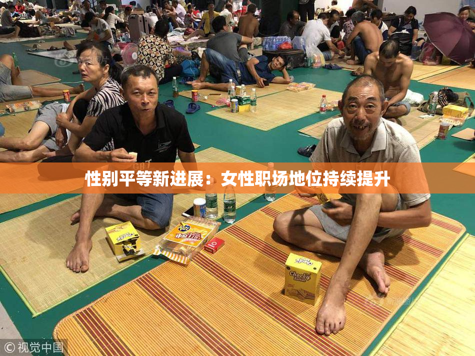 性别平等新进展：女性职场地位持续提升