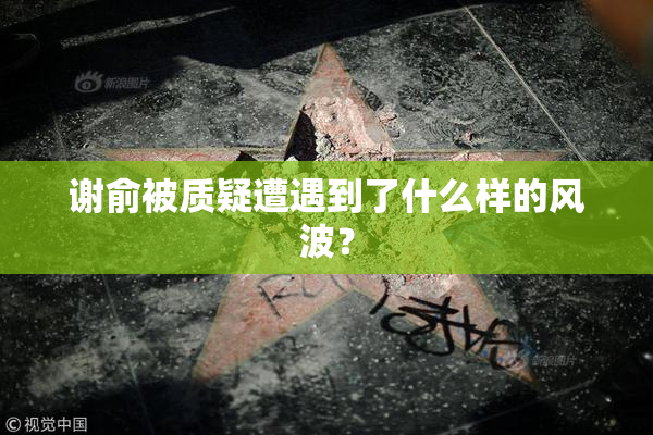 谢俞被质疑遭遇到了什么样的风波？