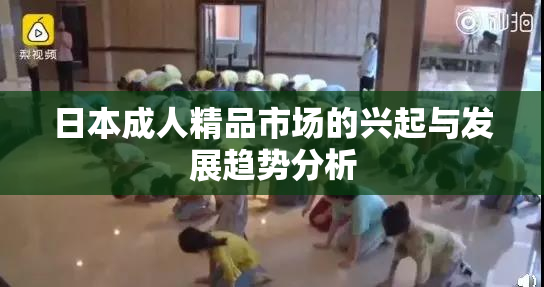 日本成人精品市场的兴起与发展趋势分析