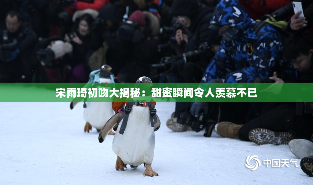 宋雨琦初吻大揭秘：甜蜜瞬间令人羡慕不已