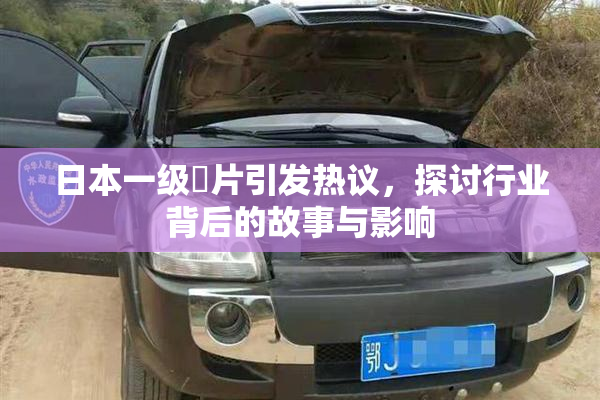 日本一级婬片引发热议，探讨行业背后的故事与影响