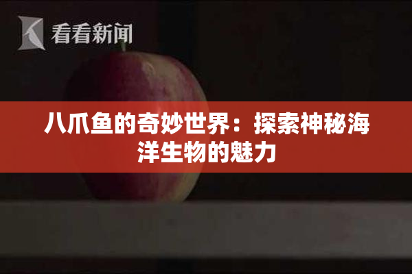 八爪鱼的奇妙世界：探索神秘海洋生物的魅力