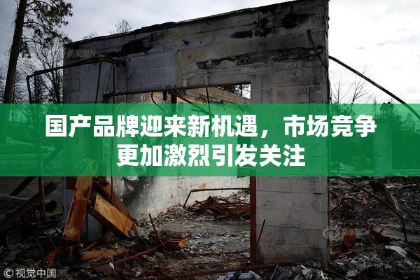 国产品牌迎来新机遇，市场竞争更加激烈引发关注