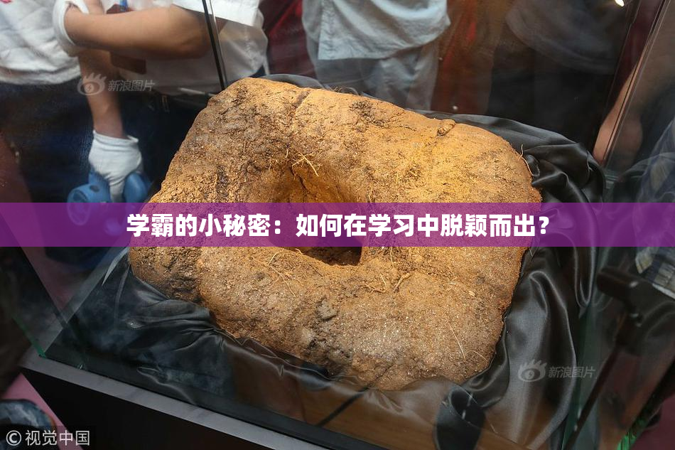 学霸的小秘密：如何在学习中脱颖而出？