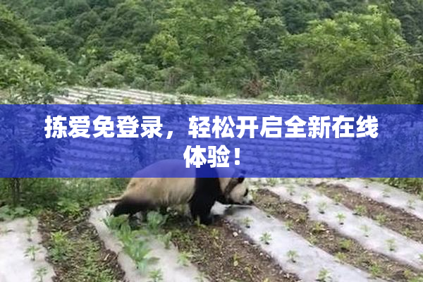 拣爱免登录，轻松开启全新在线体验！