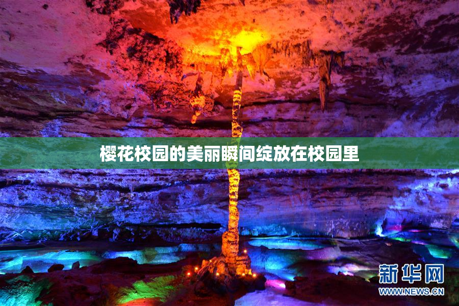 樱花校园的美丽瞬间绽放在校园里