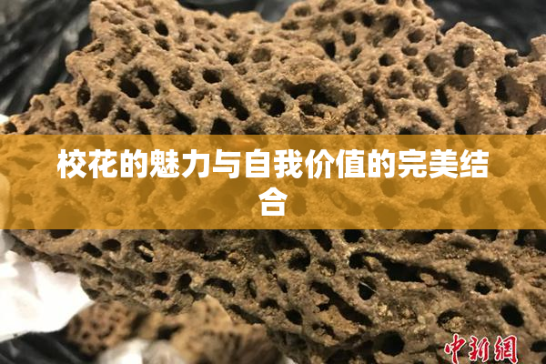 校花的魅力与自我价值的完美结合