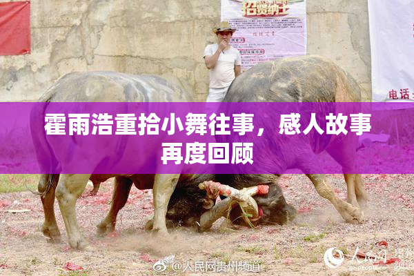 霍雨浩重拾小舞往事，感人故事再度回顾