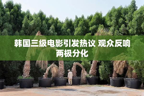 韩国三级电影引发热议 观众反响两极分化