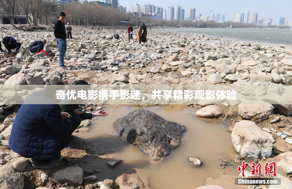 奇优电影携手影迷，共享精彩观影体验