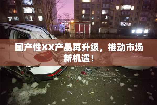 国产性XX产品再升级，推动市场新机遇！