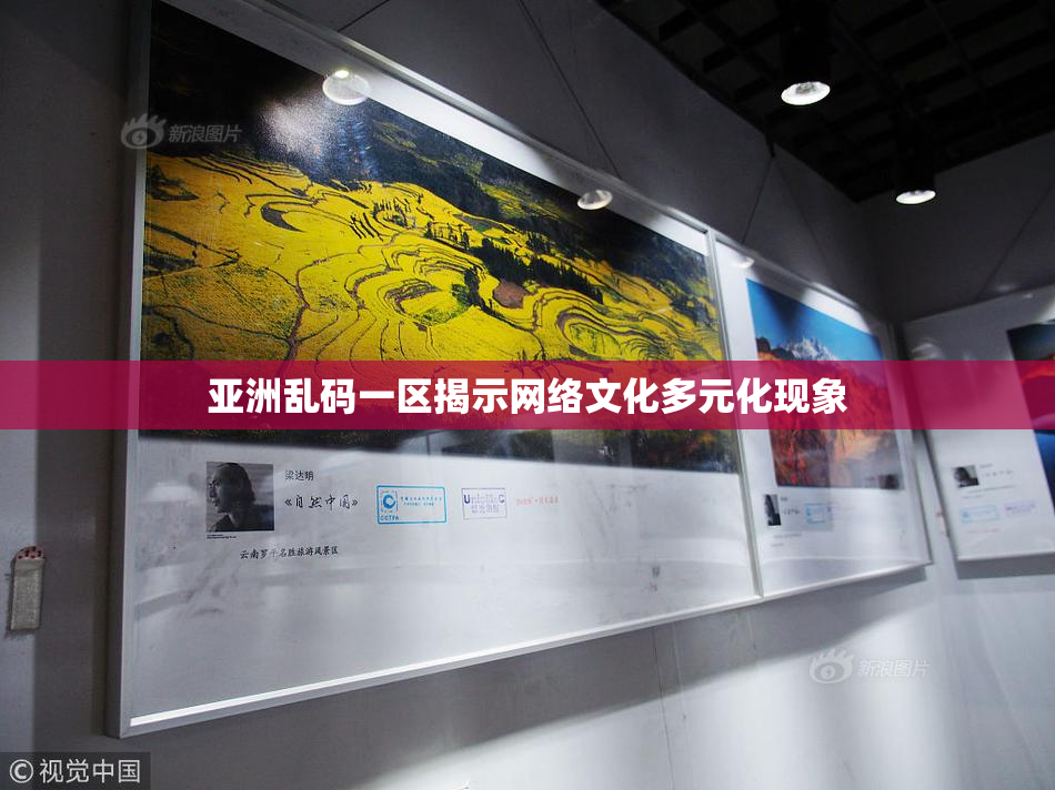亚洲乱码一区揭示网络文化多元化现象