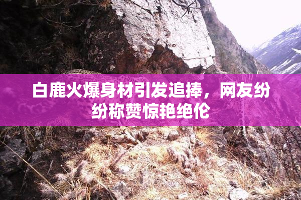 白鹿火爆身材引发追捧，网友纷纷称赞惊艳绝伦