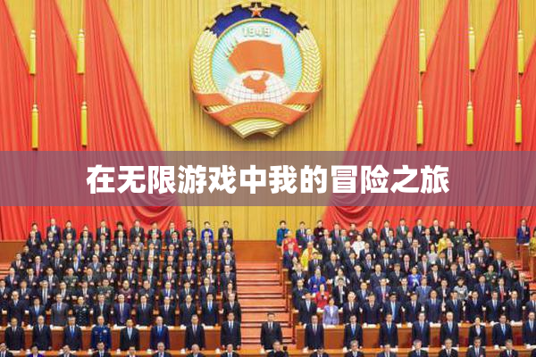 在无限游戏中我的冒险之旅