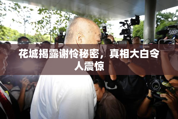 花城揭露谢怜秘密，真相大白令人震惊