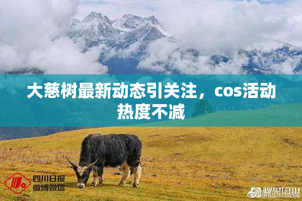 大慈树最新动态引关注，cos活动热度不减