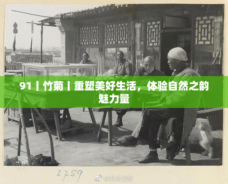 91丨竹菊丨重塑美好生活，体验自然之韵魅力量
