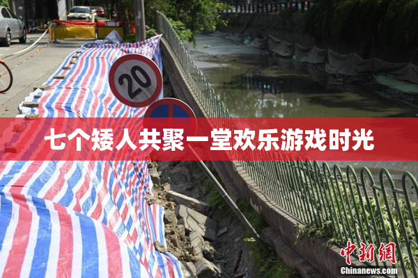 七个矮人共聚一堂欢乐游戏时光