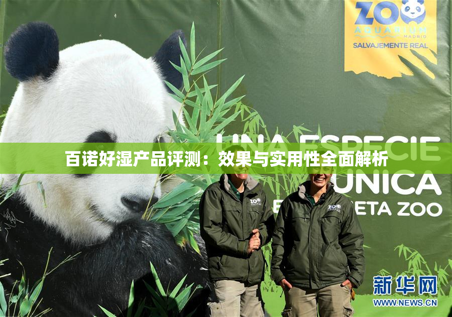 百诺好湿产品评测：效果与实用性全面解析