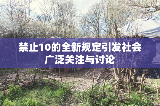 禁止10的全新规定引发社会广泛关注与讨论