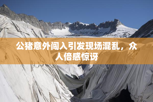 公猪意外闯入引发现场混乱，众人倍感惊讶