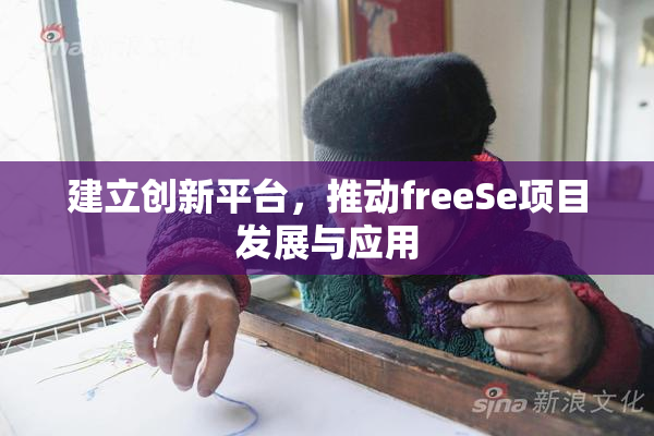 建立创新平台，推动freeSe项目发展与应用