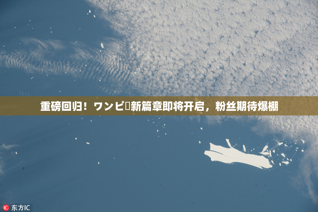 重磅回归！ワンピー新篇章即将开启，粉丝期待爆棚
