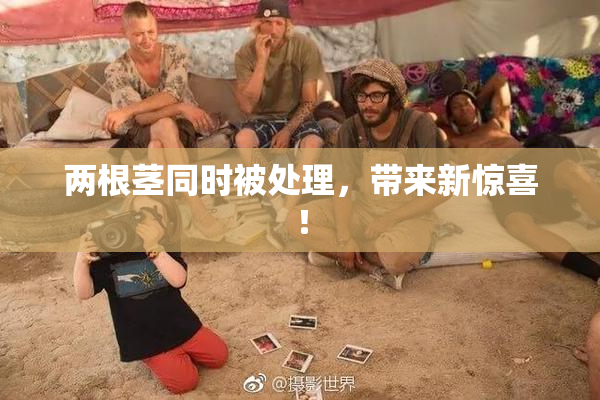 两根茎同时被处理，带来新惊喜！