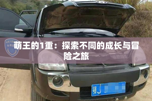 萌王的1重：探索不同的成长与冒险之旅
