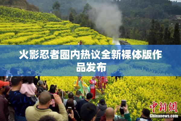 火影忍者圈内热议全新裸体版作品发布