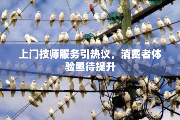 上门技师服务引热议，消费者体验亟待提升